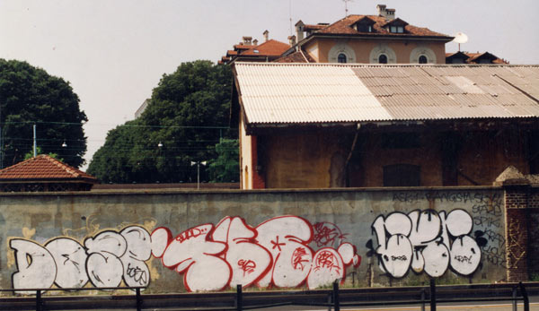DOSE + TKA + CKC